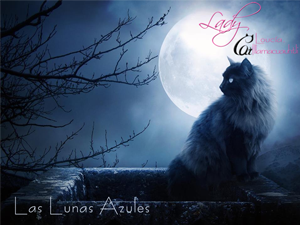 Magia Natural, Las Lunas Azules