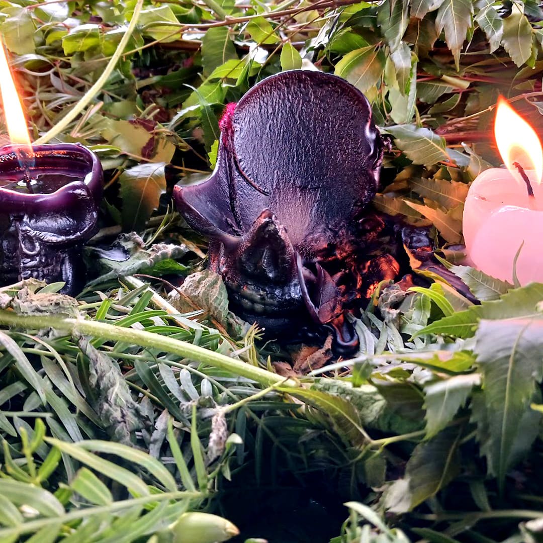 ritualesdecraneo01